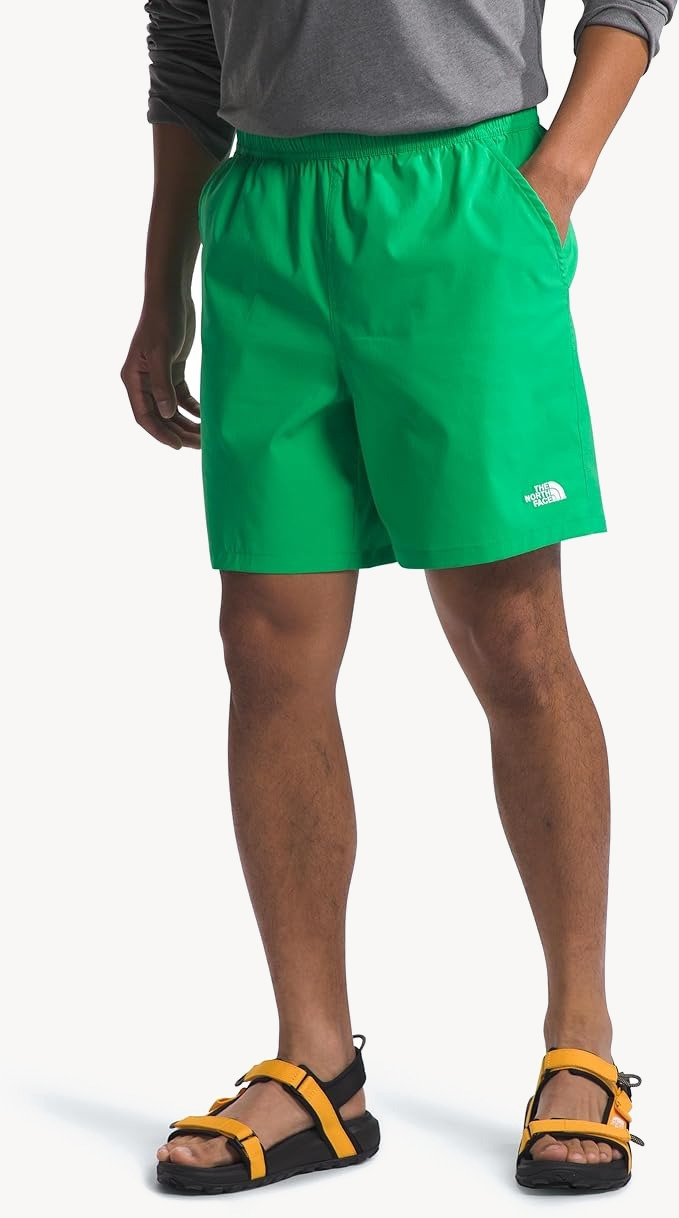 Шорты TNF Wander Short 2.0